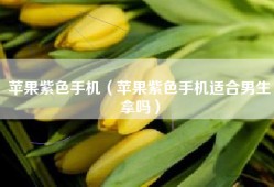 苹果紫色手机（苹果紫色手机适合男生拿吗）