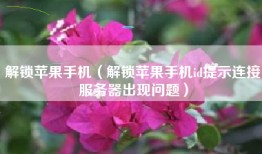 解锁苹果手机（解锁苹果手机id提示连接服务器出现问题）