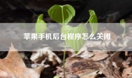 苹果手机后台程序怎么关闭