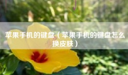 苹果手机的键盘（苹果手机的键盘怎么换皮肤）