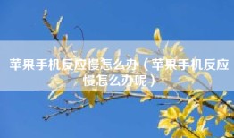 苹果手机反应慢怎么办（苹果手机反应慢怎么办呢）