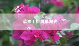 苹果手机屏幕漏光