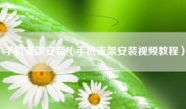 手机支架安装（手机支架安装视频教程）