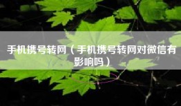 手机携号转网（手机携号转网对微信有影响吗）