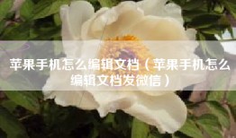 苹果手机怎么编辑文档（苹果手机怎么编辑文档发微信）