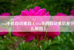 vivo手机自动重启（vivo手机自动重启是什么原因）