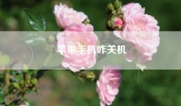 苹果手机咋关机