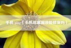 手机 ping（手机屏幕漏液能修复吗）