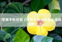 苹果手机投屏（苹果手机投屏怎么连接电视）