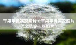 苹果手机实况照片（苹果手机实况照片怎么选定一张照片）