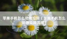 苹果手机怎么处理垃圾（苹果手机怎么处理垃圾清理）