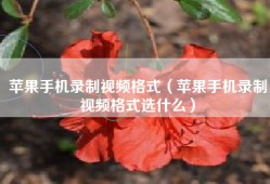 苹果手机录制视频格式（苹果手机录制视频格式选什么）