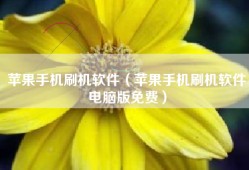 苹果手机刷机软件（苹果手机刷机软件电脑版免费）