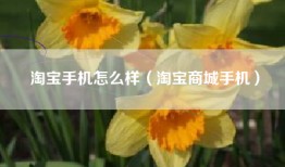 淘宝手机怎么样（淘宝商城手机）