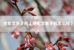 搜索苹果手机（搜索苹果手机怎么样）