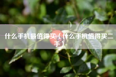 什么手机最值得买（什么手机值得买二手）