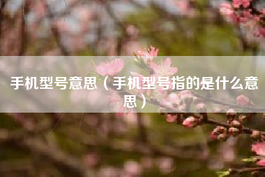 手机型号意思（手机型号指的是什么意思）