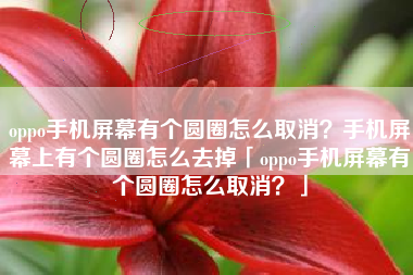 oppo手机屏幕有个圆圈怎么取消？手机屏幕上有个圆圈怎么去掉「oppo手机屏幕有个圆圈怎么取消？」